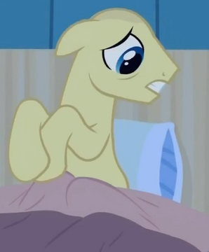 Fuzzy outlet slippers mlp