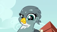 Gabby spots the Cutie Mark Crusaders S6E19.png (774 KB)