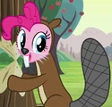 Pinkie Pie beaver ID S2E18