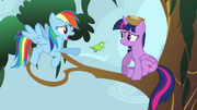 Rainbow Dash talking to Princess Twilight S4E1