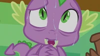 Spike hears Twilight speak highly of him.