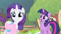 Twilight 'Why not, Fluttershy' S4E14