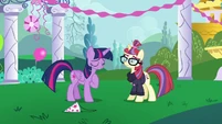 Twilight Sparkle "I think it's my fault" S5E12