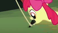 Apple Bloom planting a tent stake S7E16