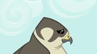 This makes me a sad falcon.