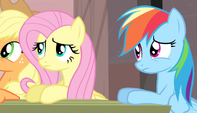 Fluttershy and Rainbow Dash confused S5E1