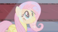 Fluttershy looking at stained glass.