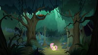 Fluttershy lost in the Everfree Forest S8E13