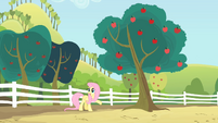 Fluttershy point towards the tree S4E07