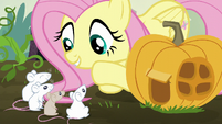 Fluttershy talking to the mice S5E23