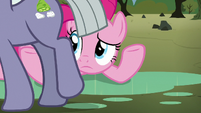 Limestone Pie walking past Pinkie Pie S8E3