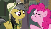 Pinkie Pie winking at Daring Do S7E18