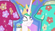 Princess Celestia looking at Hawaiian shirts S9E13