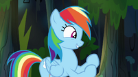 Rainbow Dash fangirling over Daring Do S4E04