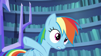 Rainbow Dash pointing outside S5E21