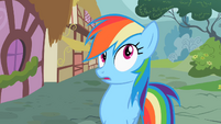 Rainbow Dash super hearing S2E8