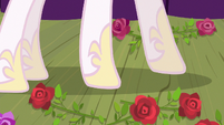 Roses around Princess Celestia's hooves S8E7