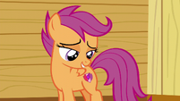 Scootaloo staring at her cutie mark S6E4