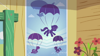 Skydiving poster S3E11