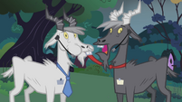 Tie munching goat S2E19