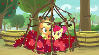 AJ and Apple Bloom inside the cage S9E10