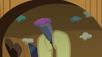 Apple Bloom scrapes desk bubblegum S8E12