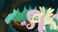 Fake Fluttershy -nopony asked you- S8E13