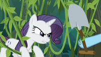 Fake Rarity sees Rainbow reaching for shovel S8E13