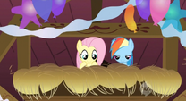 Fluttershy and Rainbow Dash hiding S2E14