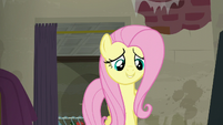 Fluttershy enters with "interesting news" S6E9