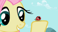 Fluttershy with ladybug S2E07