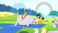 Foal riding a hippo S4E12