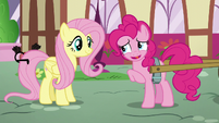 Pinkie "Baby carrots are kinda like big carrots" S5E19