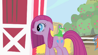 Pinkie Pie looks at what her friends have prepared for her S1E25