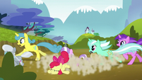 Ponies knock Apple Bloom over as they run S5E4