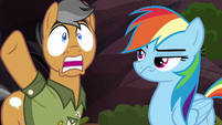 Quibble "what are these ponies thinking?!" S6E13