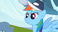 Rainbow Dash "Has the guts" S2E07