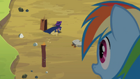 Rainbow Dash looking at Mare Do Well S2E08