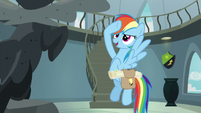 She's a typical 100% Wonderbolts fan!!