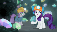 Rarity "I'm desperate to find one" S7E4