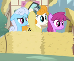 Shoeshine, Berryshine and a pony in a radiation suit S2E6