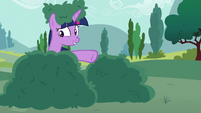 Twilight pointing at bush next to her S6E6