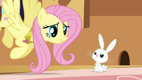 Angel shows his disapproval at Fluttershy S3E10