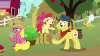 Apple Bloom pours more cider for Sweet Apple Admirer S7E14