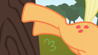 Applejack bucking a tree S1E01