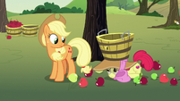 Applejack notices Apple Bloom on the ground S7E9