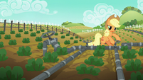 Applejack turns the second irrigation valve S6E10