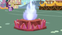 Flame of Friendship torch burning S7E15