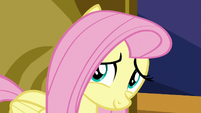 Fluttershy looking at Twilight Sparkle S7E14