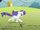 Rarity gallops toward picnic table S1E08.png